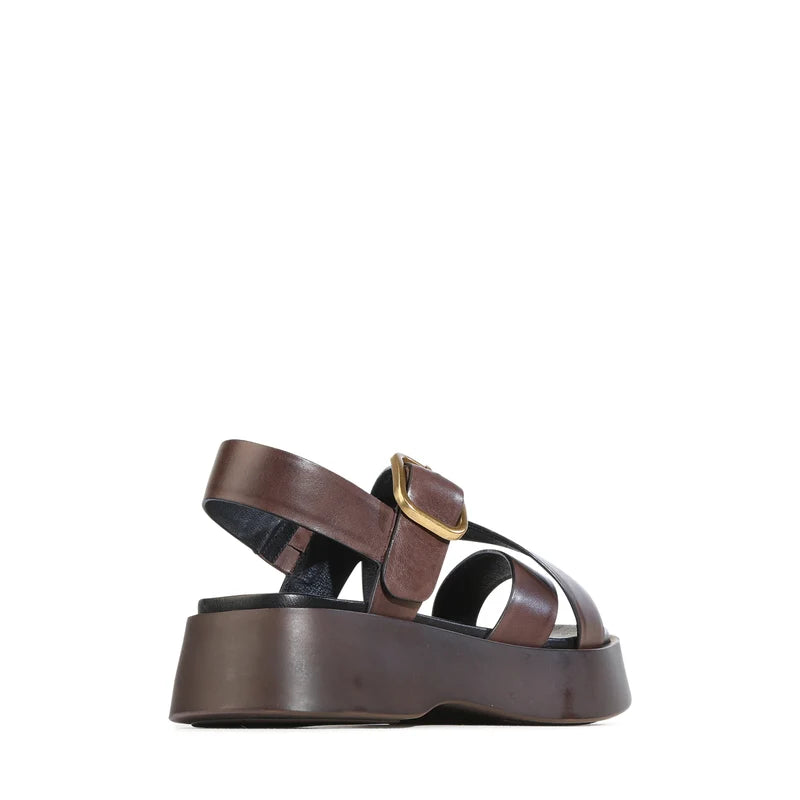 Barista Flatform - Chestnut