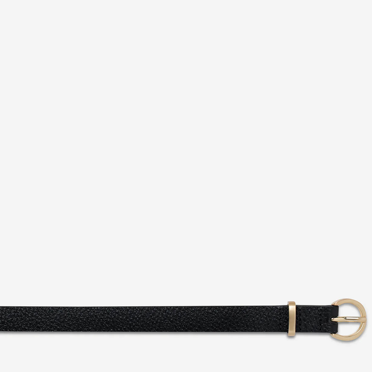 Status Anxiety Happens All The Time Belt - Black / Gold