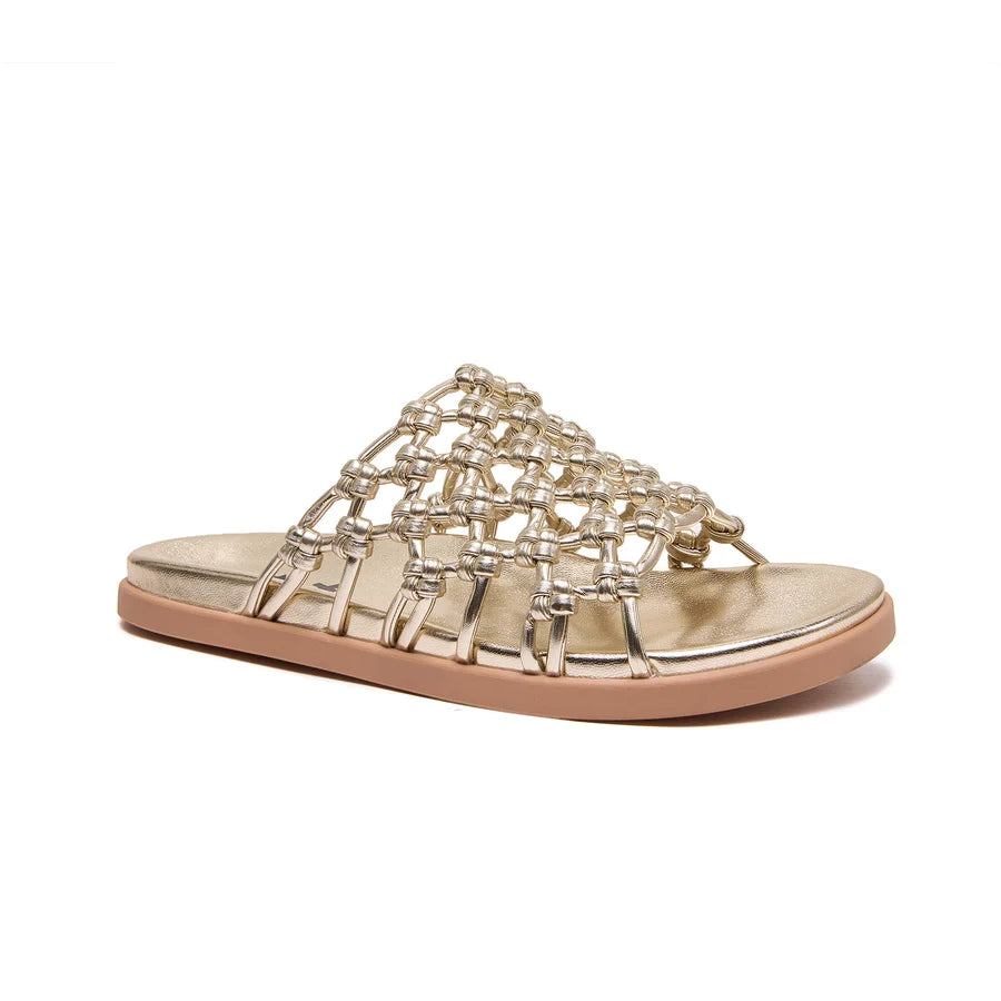 Amalfi Slides - Gold Metallic Knot