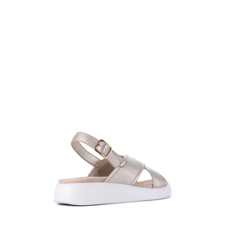 Bogota Sandals - Gold