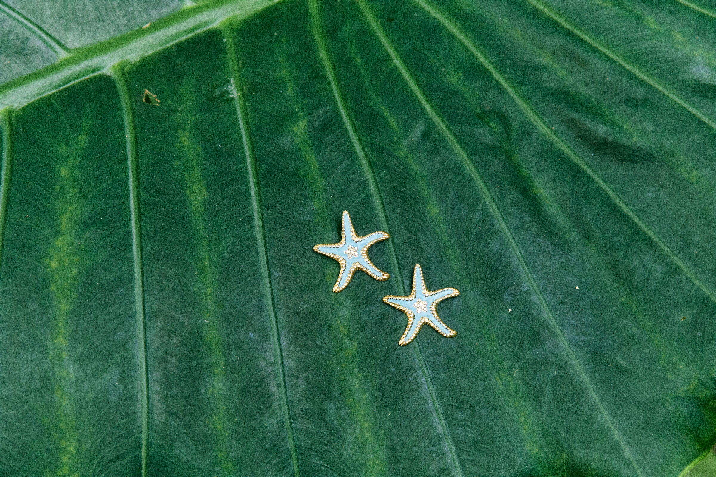 Crete Blue Earring - Starfish