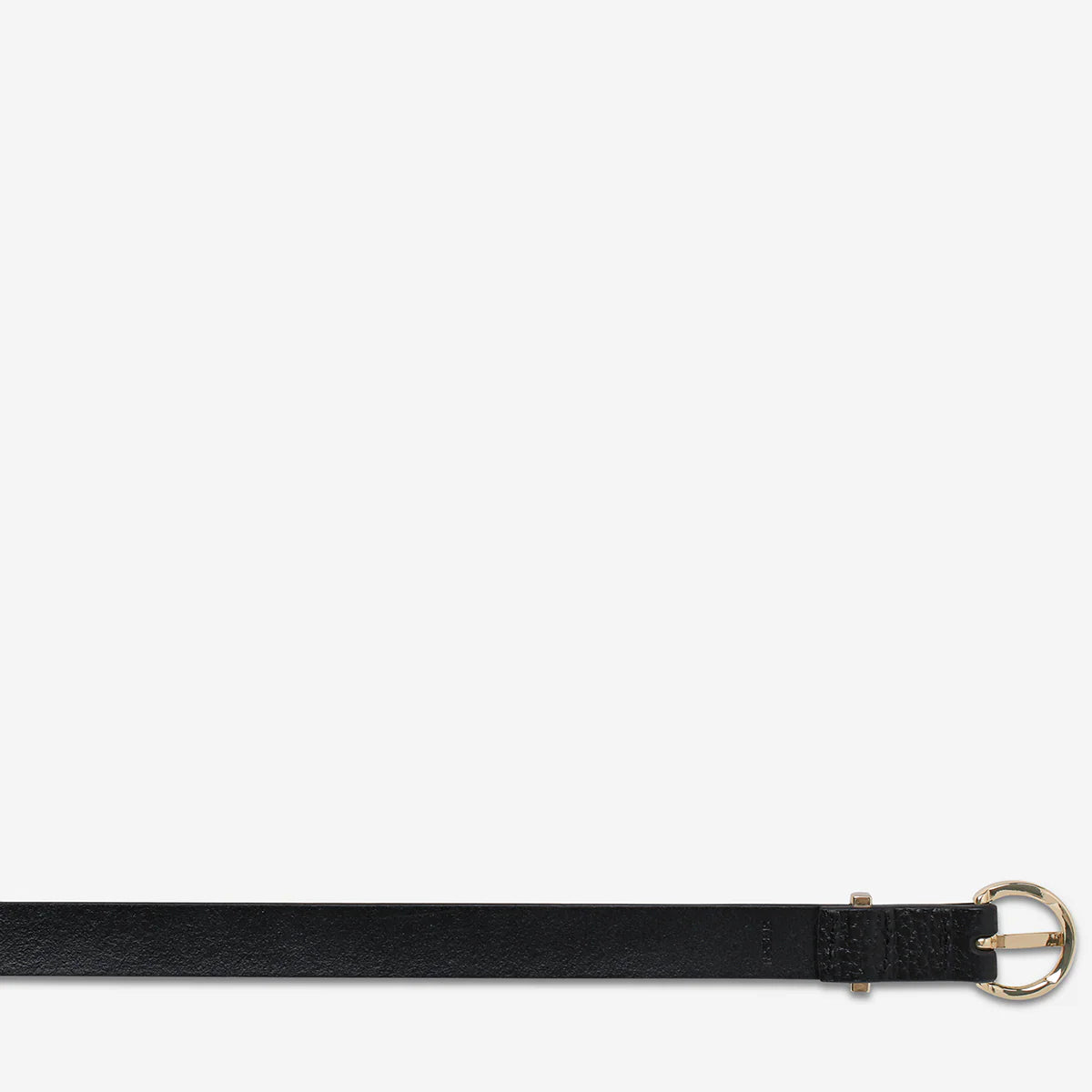 Status Anxiety Happens All The Time Belt - Black / Gold