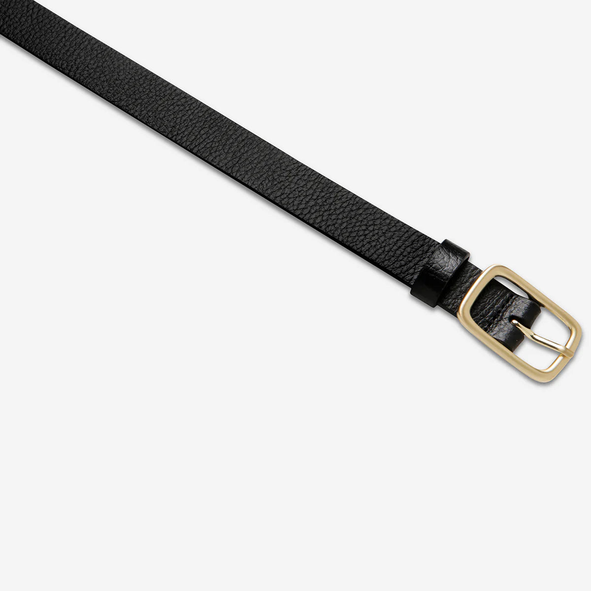 Status Anxiety Nobody's Fault Belt - Black / Gold